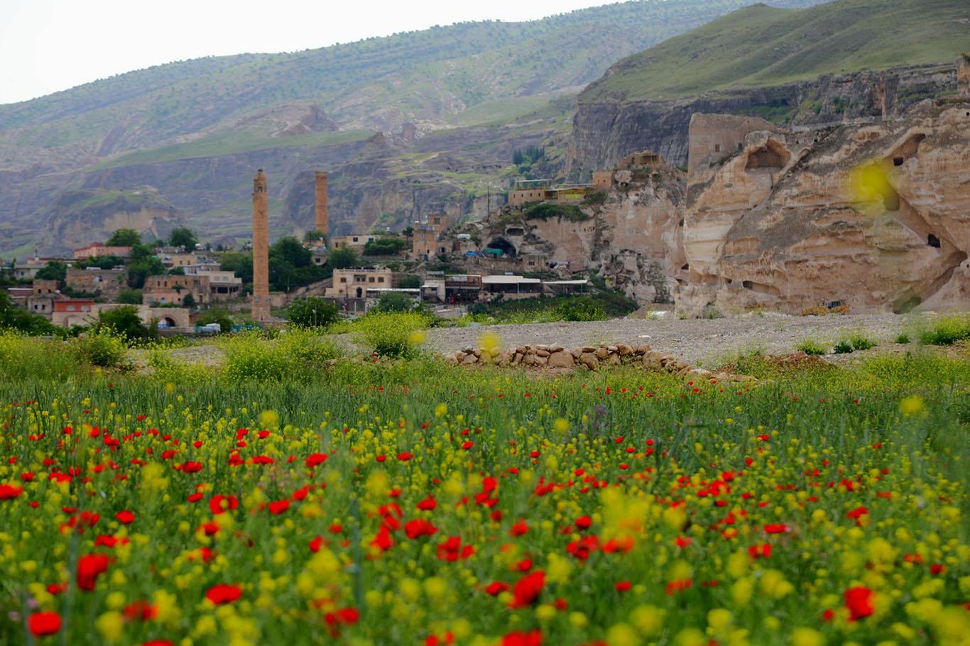 Antik kent Hasankeyf flora ile süslendi